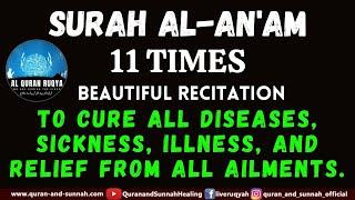 SURAH AL-AN'AM 11 TIMES TO CURE ALL DISEASES, SICKNESS, ILLNESS, AND RELIEF FROM ALL AILMENTS.