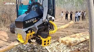 KESLA 24RH-III HARVESTER HEAD FOR LARGER DIAMETER EUCALYPTUS TREE HARVESTING AND PROCESSING IN INDIA