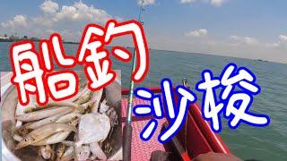 【胖咪】fishing 90:船釣 鯊魚 ／沙梭 ／石鱸／哇米魚／三角魚！