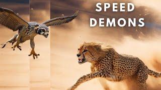 Top 10 Fastest Animals in the World: Incredible Speeds Unveiled!