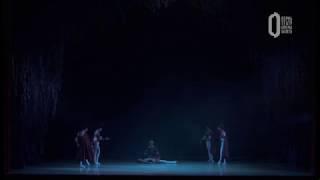 A Miroshnichenko's Swan Lake Final Scene - Perm Opera