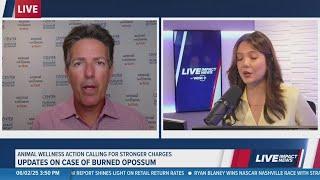 Animal advocacy group talks animal cruelty policy after burned opossum case