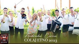 Andrada Cerna - Sus în munții ‘ăi de brad (Colaj ETNO 2023)