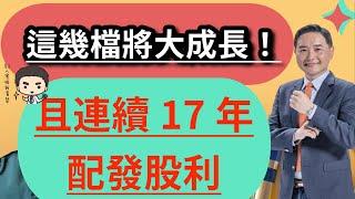 這幾檔將大成長！且連續17年配發股利