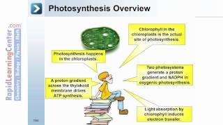 Rapid Learning:  Photosynthesis - What is Photosynthesis?