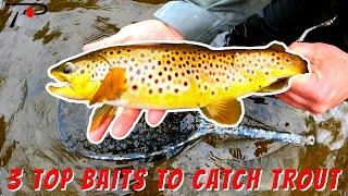 3 Top Baits To Catch Trout