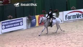 Saturday Indoor Class 124 Large Pony Hunter Handy Stake