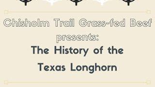 History of the Texas Longhorn