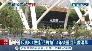 花8.1億養蚊子? 台中"花舞館"造價8.1億為花博風光開館 4年後重回"荒煙漫草"狀態 市府觀旅局:會督促OT廠商加強雜草清除｜記者 張峻棟 吳宗哲｜【台灣要聞】20220825｜三立iNEWS