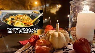 54# Lantern Festival in Germany and Moon Festival in Vietnam | Vegetarian Food | Living in Germany