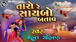 તારો રે સાયબો બતાય" Taro re shayvo batay |Mehul Chohan | Gujarati Devotional 2025