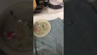 Drum Flip top tip!  Removing corrosion from hoops