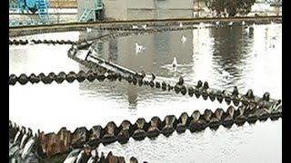 Как происходит очистка сточных вод