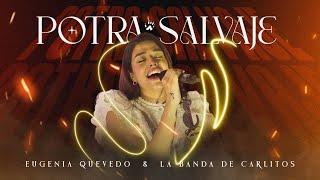 Potra Salvaje (En Vivo) - Eugenia Quevedo | La Banda De Carlitos