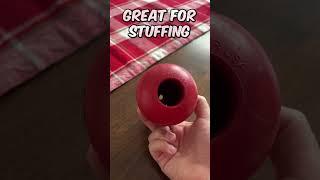 This Dog Toy Was Invented Over 40 Years Ago! | Kong Classic