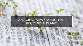 Amazing Newspaper That Becomes a Plant | eco-friendly newspaper | Green newspaper