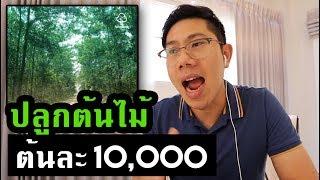 ทำได้ไง! ปลูกต้นไม้ขายได้ 200 ล้าน ใน 8 ปี