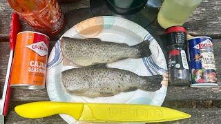 Catch N’ Cook BROWN TROUT Wrapped in its Crispy Skin! (Lots of Trout catches!)