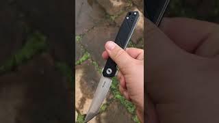 TIME TO PLAY - Ruike P127-B#shorts#short#pocketknife #edc#knife#shortvideo#knifes#ruike#knives