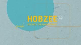 Hobzee - Destiny