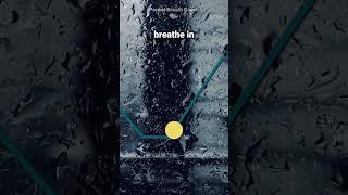 Viewer Request: Inhale 4, Hold 2, Exhale 5, Hold 2 #breathingeasy  #breathing  #breathingforanxiety