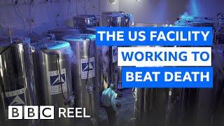 Inside the US lab freezing the dead at -196C - BBC REEL