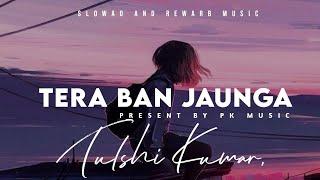 Tera Ban Jaunga | slowad+rewarb |Textaudio | Akhil Sachdeva, Tulshi Kumar | Pk music