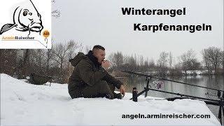 Winterangeln | Karpfenangeln | Schneefall am See | carpledger |