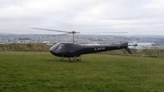 Enstrom auto