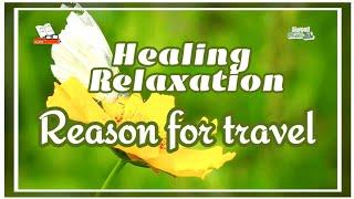 [#Healing_and_Relaxation]#Reason_for_travel #Lý_do_đi_du_lịch #旅行の理由 #旅行原因 #Sweet유니스부부_여행일기