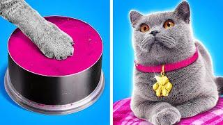 Makeover of Homeless Cat Gadgets and Hacks for Pets