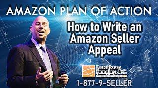 How to Write an Amazon Plan of Action! (Amazon Seller Appeal 2019)