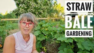 Rushing to Conclusions | Straw Bale Garden Update & Pruning Squash Plants