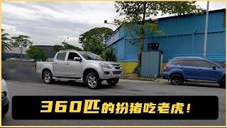 360匹的扮猪吃老虎｜Alphatech Malaysia｜Binnbinn.com