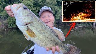 Big Bass Fishing! Catch, Clean, and Cook!