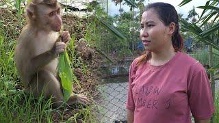 Lambo Monkey makes Mom angry...