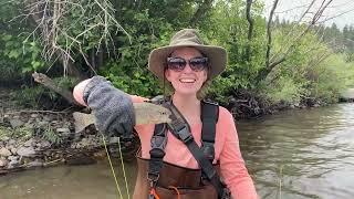 Fly Fishing Trip Pagosa Springs Colorado July 2022