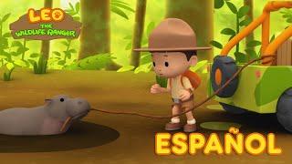 El Hipopótamo Pigmeo (Español) - Leo, El Explorador Episodio | Animación - Familia - Niños