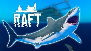 How to deal with the Shark in RAFT - Quick Guide