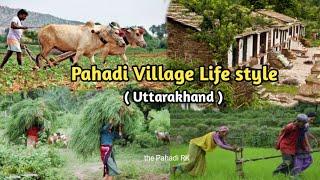 Pahadi life style (uk)|| UTTARAKAHNDI LIFESTYLE || the pahadi RK || Rakesh Bisht