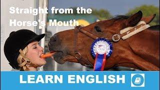 Straight from the Horse's Mouth - English Idiom