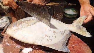 Incredible Delicious Pomfret Fish Cutting Skills In Bangladesh Fish Market By Expert Cutter