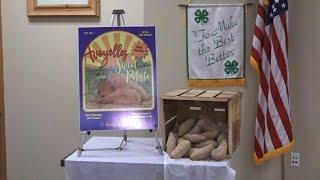 LSU AgCenter unveiled a new sweet potato