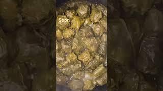 #dolma