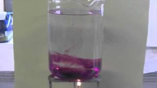 Convection currents in a beaker of water