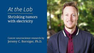Shrinking tumors with electricity