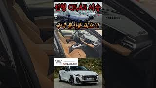 국내출시용 A5&Q5 시승!!!!풀영상 채널에 있습니다!