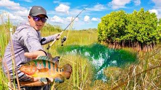 UNTOUCHED PONDS FLORIDA KEYS | SNOOK, PEACOCK BASS, CICHLIDS