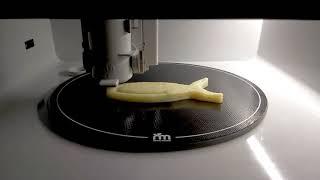 3D food printing with Foodini - Dysphagia application: fish test print