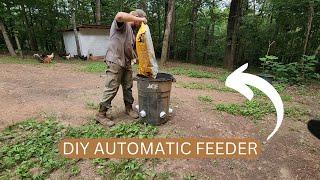 DIY Bulk Chicken Feeder | No Feed Waste!